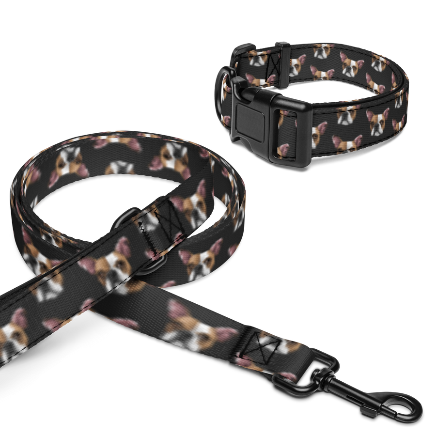 Custom Pet Portrait Collar & Leash