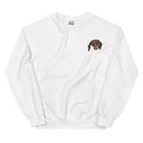 Custom Embroidered Pet Crewneck