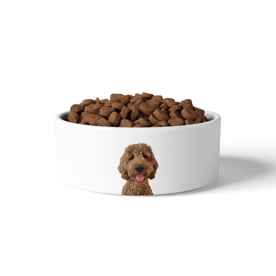 Dog food and on sale water bowl