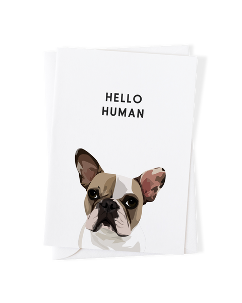 Pet Portrait Greeting Cards