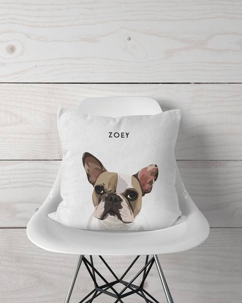 Throw Pillow